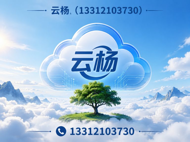 西青区超声波清洗机展示图